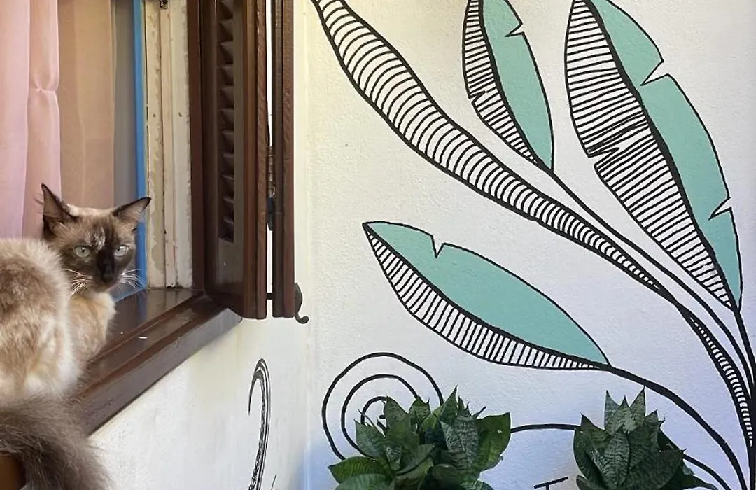 Vintage House Próximo ao Centro Histórico Comércios e Rodoviária-1